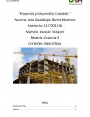 Proyectos y Desarrollos Costabile