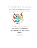 Ingeniería de Proyectos Industriales