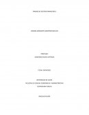 INFORME: LOS ACTIVOS