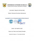Nacimiento de las organizaciones internacionales