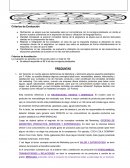 FINAL ZARANICH MARKETING