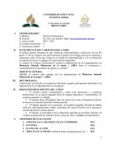 Licenciatura en teología .Prontuario. Práctica Profesional