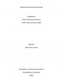 Sistema de información gerencial