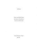 Plan de Diseño de Empaque y Plan Estratégico