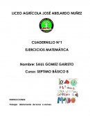 CUADERNILLO N°1 EJERCICIOS MATEMÁTICA
