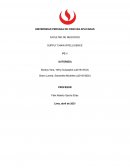 SUPPLY CHAIN INTELLIGENCE