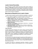 Mecanismos Bioquimicos de la Lesion Celular