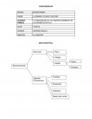 La participación de los agentes economicos en la economía de Saltillo
