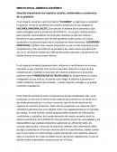 IMPACTO SOCIAL, AMBIENTAL, ECONÓMICO