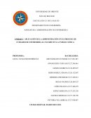 APLICACIÓN DE LA ADMINISTRACIÓN EN EL PROCESO DE CUIDADOS DE ENFERMERÍA AL USUARIO EN LA UNIDAD CLÍNICA