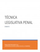Técnica legislativa penal