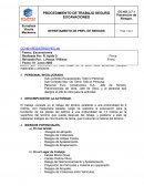 PROCEDIMIENTO DE TRABAJO SEGURO EXCAVACIONES