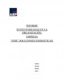 SUSTENTABILIDAD EN LA ORGANIZACIÓN. EMPRESA “ESSE” SOLUCIONES ENERGETICAS.