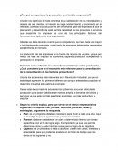 ¿Por qué es importante la producción en el ámbito empresarial?