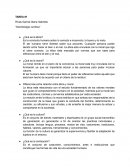 Explorando la ética, la moral, la cultura, la civilización y la deontología: Conceptos y relaciones