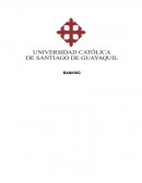 Análisis de los Créditos de la Banca Pública