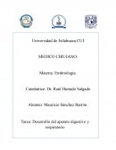 Resumen de Aparato Digestivo y Respiratorio