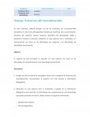 Trastornos del neurodesarrollo (TEA)