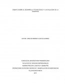 ENSAYO SOBRE EL DESARROLLO TECNOLÓGICO Y LA EVOLUCION DE LA LOGISTICA