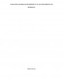 Almacenes generales de depósito y su funcionamiento en Honduras