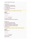 ¿Cuál es el objeto formal de la ética?