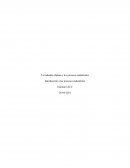 La industria chilena y los procesos industriales