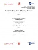 Detección de arbovirus (Dengue, Chikungunya y Zika) en suero humano. Ciudad Victoria, Tamaulipas, México