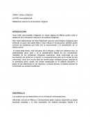 Reflexiones acerca de la educación indígena