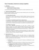 Naturaleza y fuentes de la ventaja competitiva