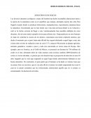 Desastres ecológicos