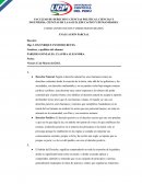 CONSTITUCION Y DERECHOS HUMANOS. EVALUACION PARCIAL