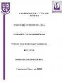 Ejercicio de bioprocesos