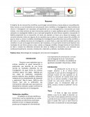 ¿Como elaborar un manuscrito?