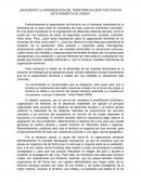 ¿Realmente la organización del territorio ha sido efectiva en este momento de crisis?