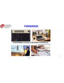 Commodities y derivados financieros - determinación de precios