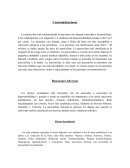 Contraindicaciones amoxicilina