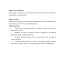 Cuál ha sido la incidencia de la violencia de género durante el periodo del confinamiento por pandemia en el mundo entero?