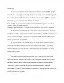 Introducción Servicio Social