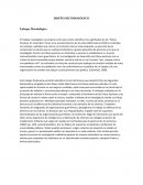 El Plan de Seguridad Democrática del gobierno del Álvaro Uribe Vélez