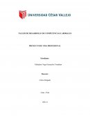 TALLER DE DESARROLLO DE COMPETENCIAS LABORALES . PROYECTO DE VIDA PROFESIONAL