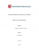 TALLER DE DESARROLLO DE COMPETENCIAS LABORALES . PROYECTO DE VIDA PROFESIONAL