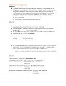 CAPACIDAD DE PRODUCCION