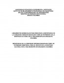 LINEAMIENTOS GERENCIALES PARA RESCATAR LA IMPORTANCIA DE LA COMUNIDAD INDÍGENA MAKAGUAN