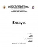 Características de un Galvanómetro D`Arsonval