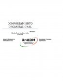 Unidad 2.-Evidencia de Aprendizaje.- Procesos Individuales en una Organización