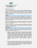 Portfolio de evidencias