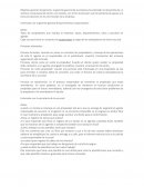 Guia Objetivo general del gerente