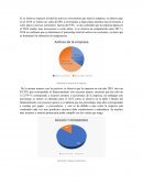 Analisis cuantitativo de la empresa