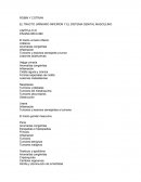 EL TRACTO URINARIO INFERIOR Y EL SISTEMA GENITAL MASCULINO