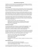 CARACTERISTICAS DE PRODUCTOS. CEPILLO DE BAMBU